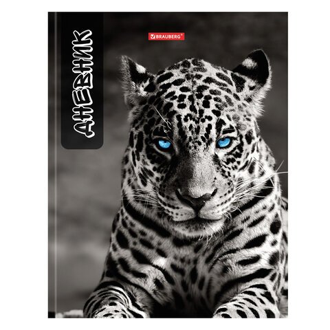 Самые красивые животные