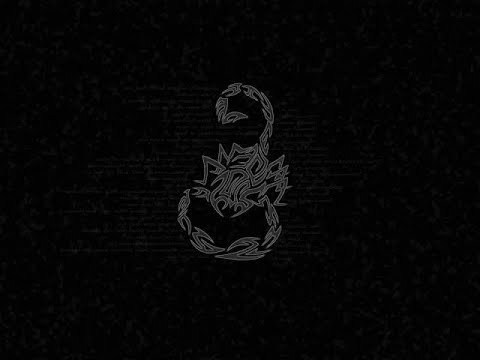 Скорпион на темном фоне