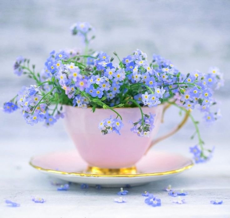 Нежные весенние цветы