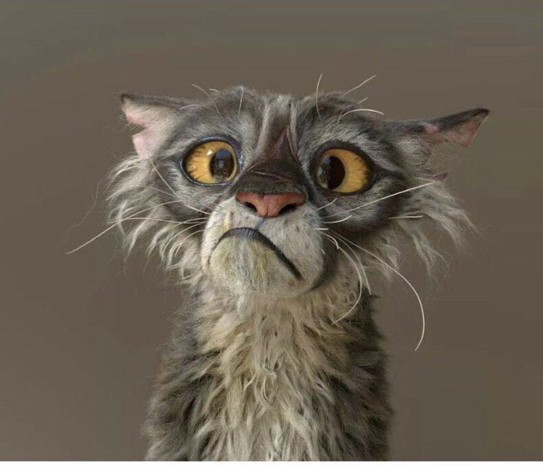 Растрепанная кошка