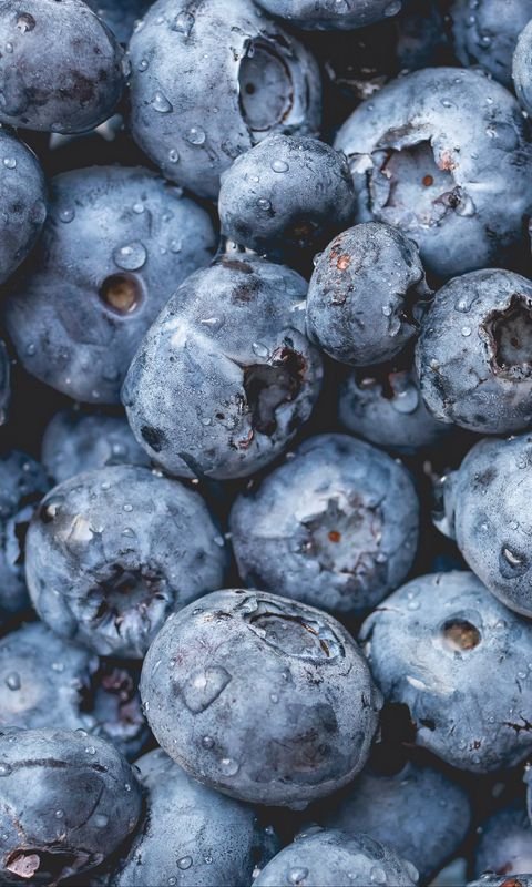 Черника ягода