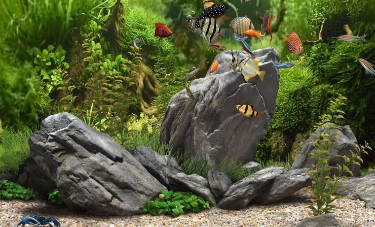 Скринсейвер Dream Aquarium