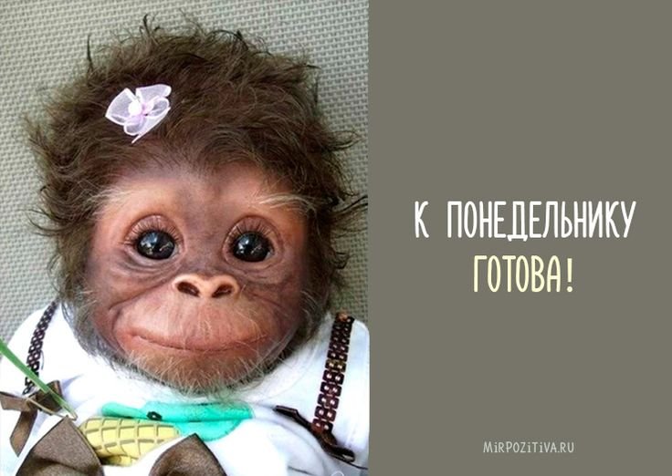 Прикольные картинки МПРО понедельник