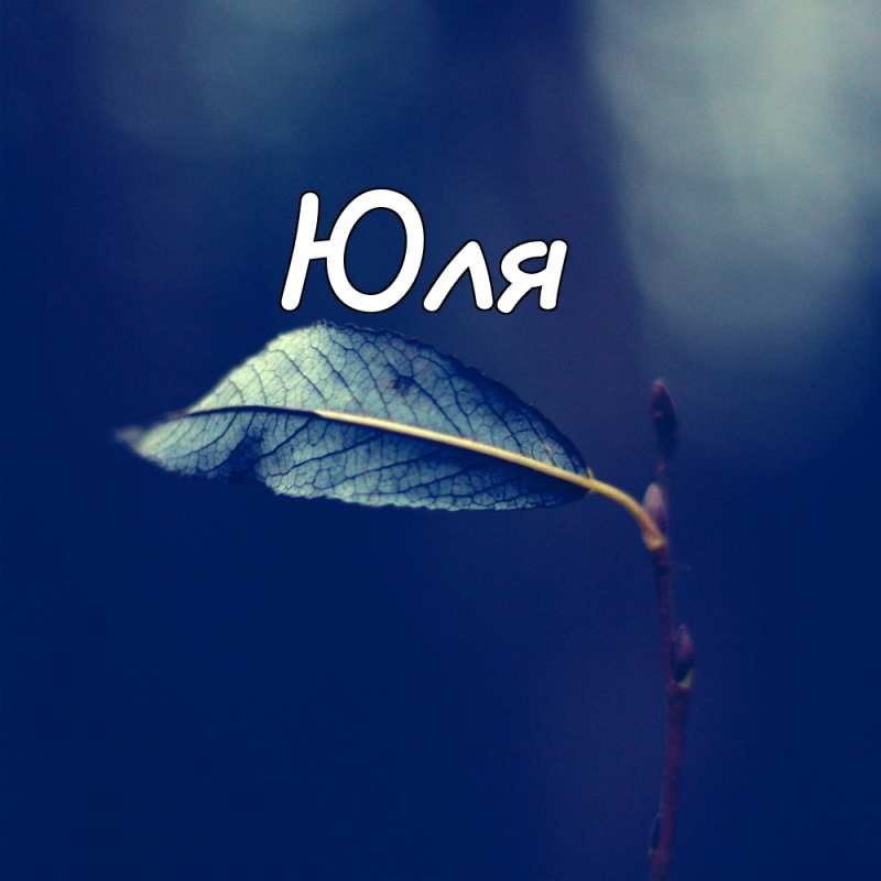 Юлька надпись