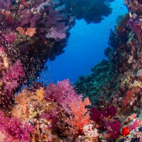 Египет море