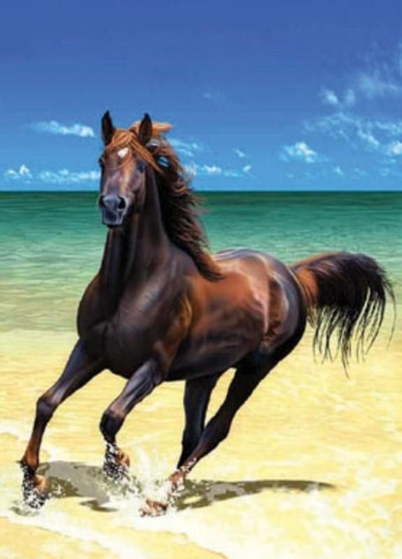 Лошади и море