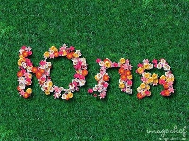 Надпись из цветов