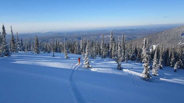 Шерегеш лес