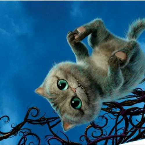 Картинки на заставку телефона прикольные