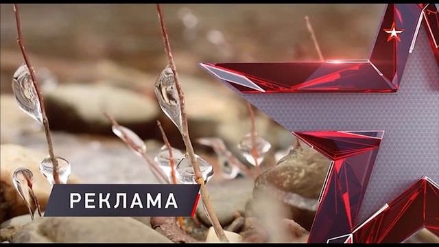 Телеканал звезда реклама