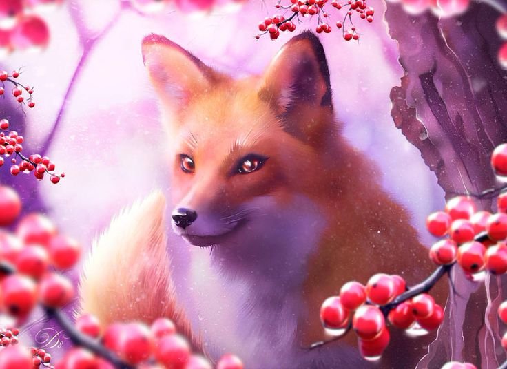 Розовая лиса