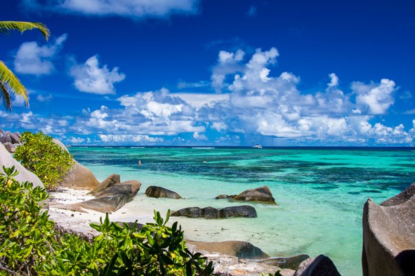 Остров Сейшелы