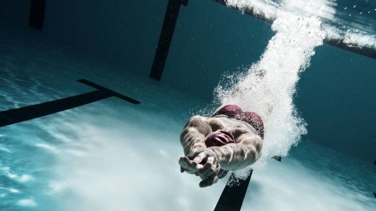 Пловец ныряет