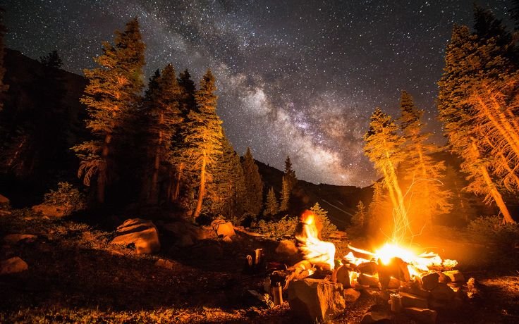 Костер в лесу