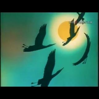 Заставка программы в мире животных