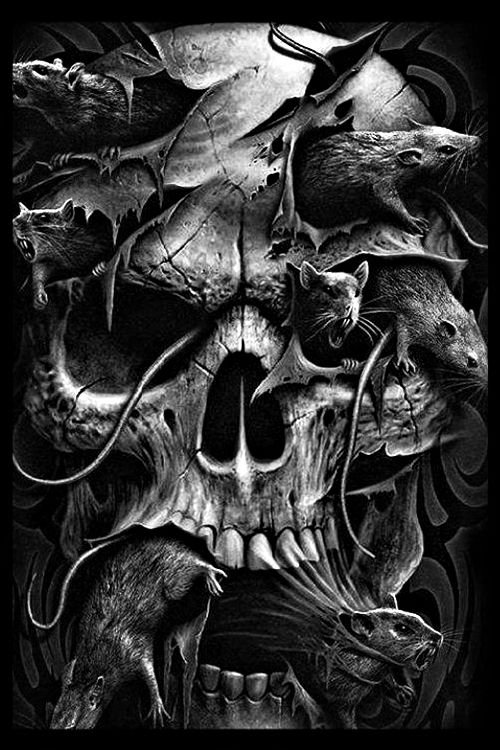 Череп на заставку