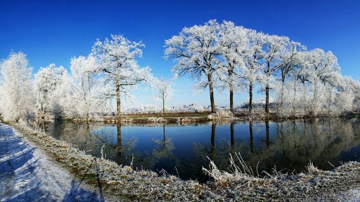 Весна природа