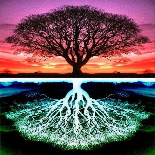 Мировое Древо ашваттха