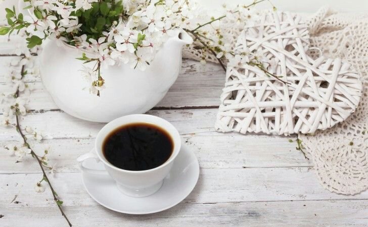 Уютные цветы