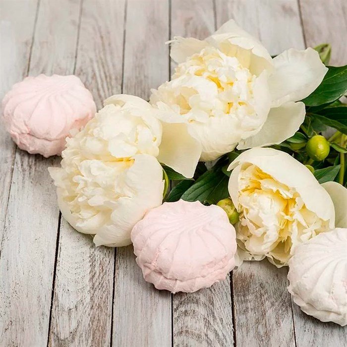 Зефирные пионы