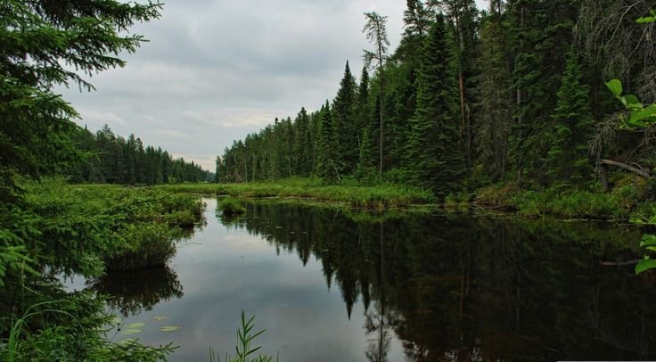 Таежная Заимка Карелия