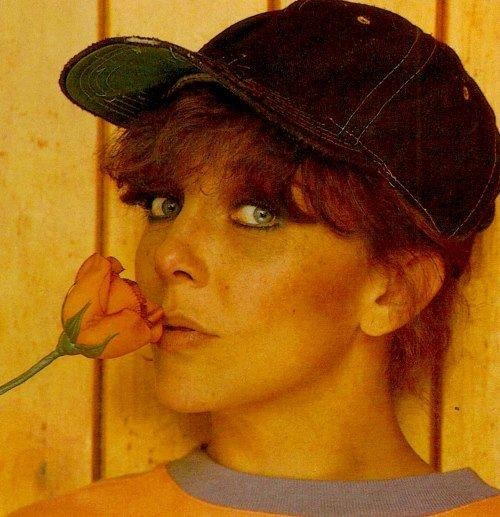 Дикая роза Кастро