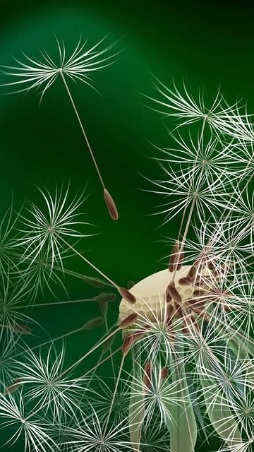 Красивые темы на телефон