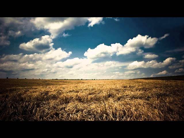 Природа поле