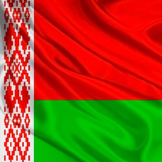 Флаг Беларуси 2012