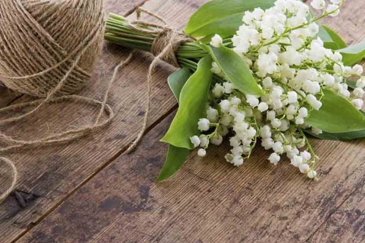 Букет ландышей