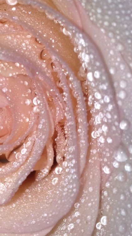 Заставка на айфон нюд