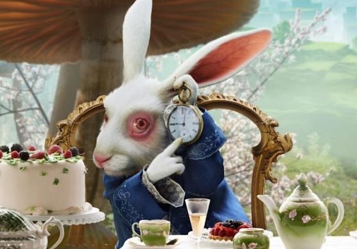 Умный кролик сел за столик