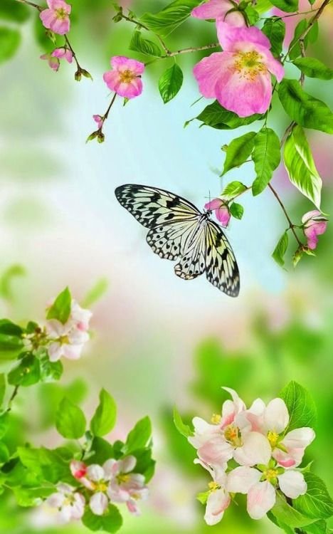 Красивый весенний фон