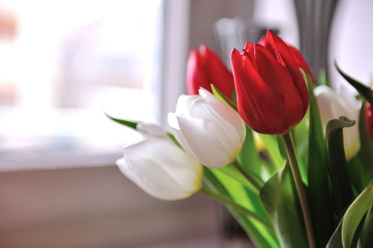 Стол тюльпан