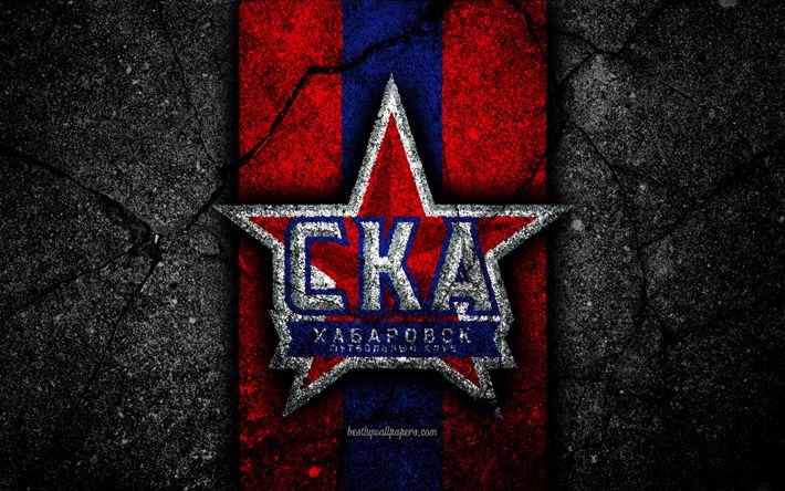 СКА эмблема