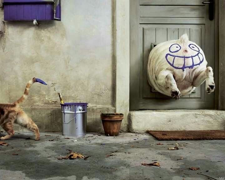 Прикольные заставки