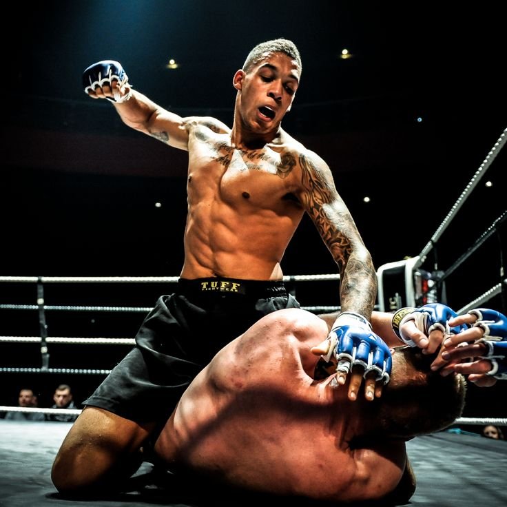 Смешанные единоборства ММА