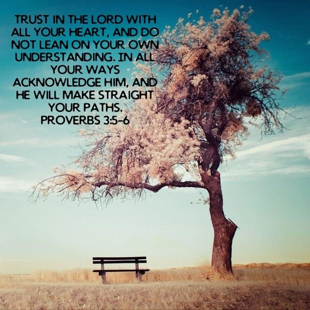 Дерево Минимализм