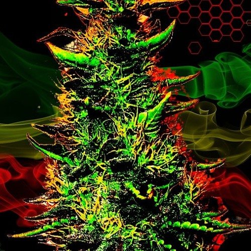 Марихуана HD