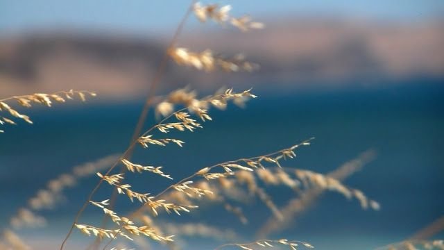 Природа Вдохновение