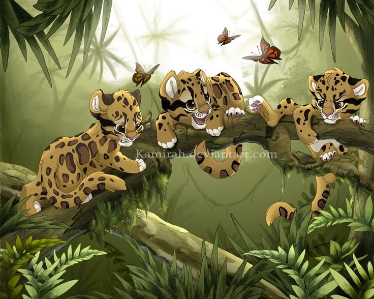 Животные джунглей