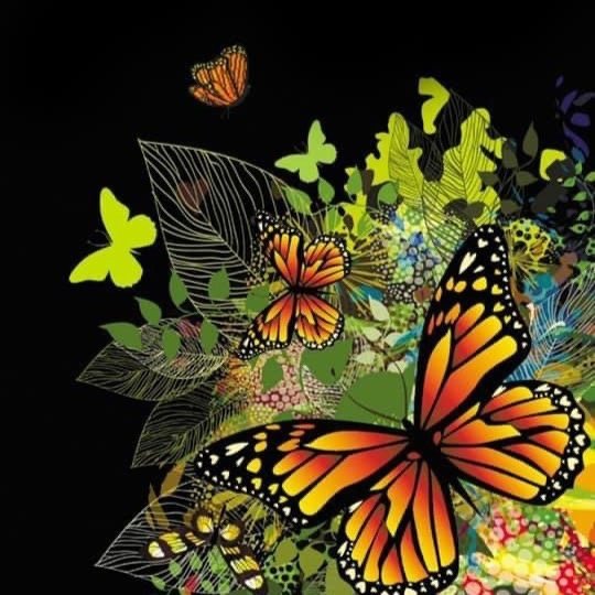 Заставка бабочки