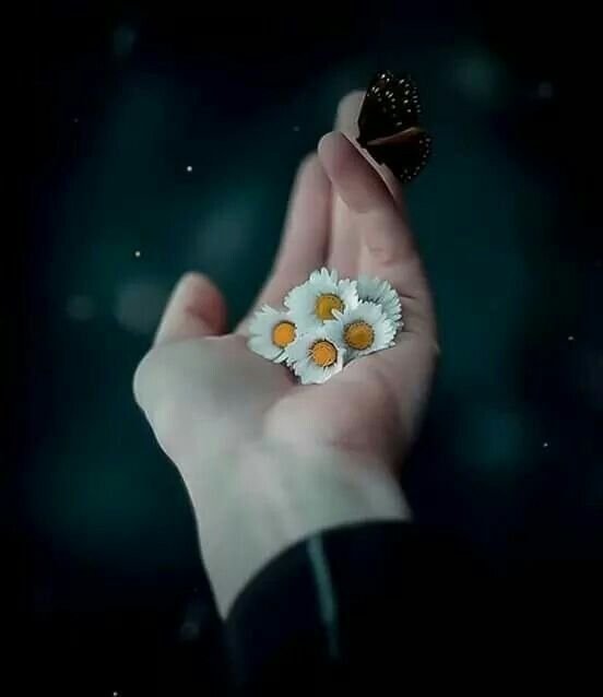 Красивые аватарки со смыслом