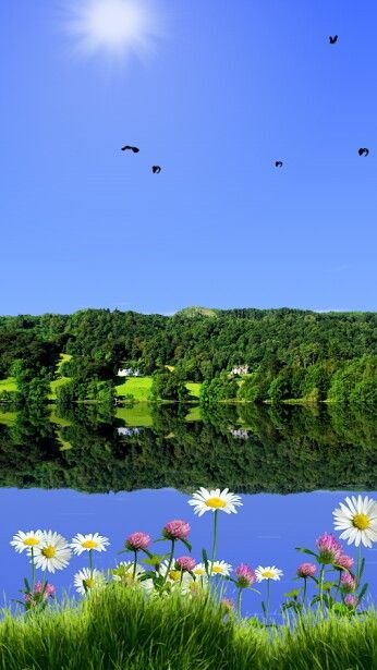 Летний пейзаж