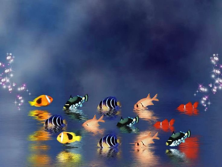 Заставка на рабочий стол рыбки