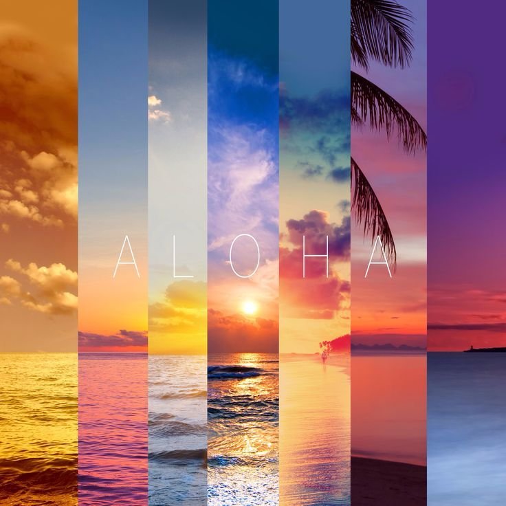 Заставка на телефон лето