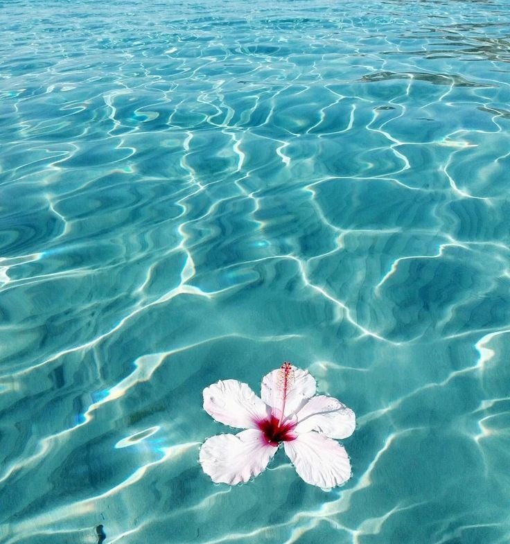 Бирюзовая вода