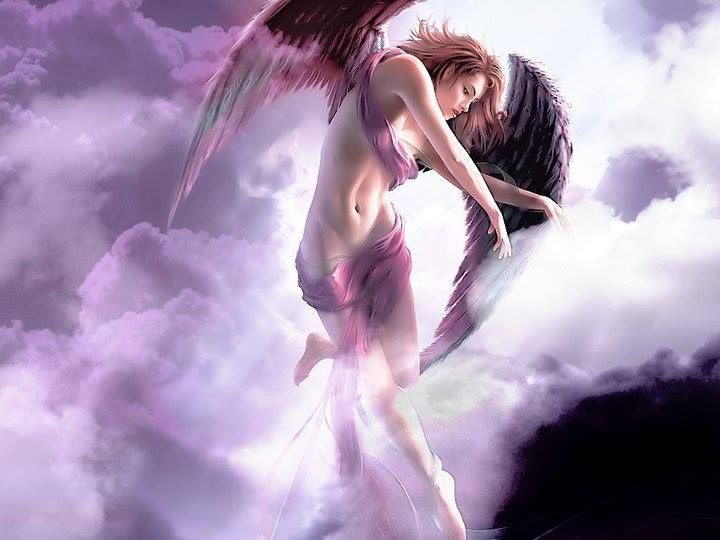 Ангел катетил