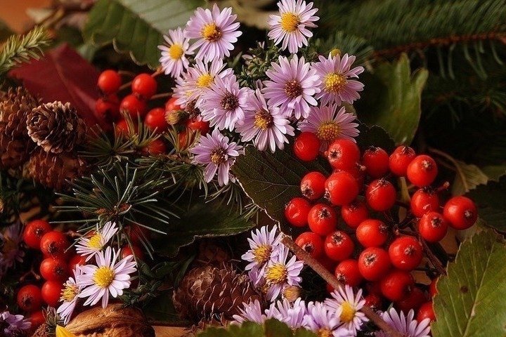 Осенние цветы