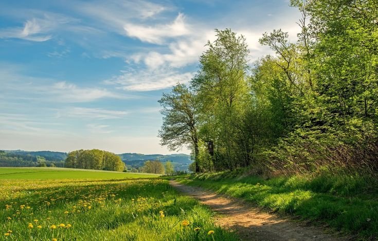 Пушгоры природа